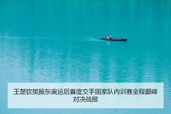 王楚钦樊振东奥运后首度交手国家队内训赛全程巅峰对决战报